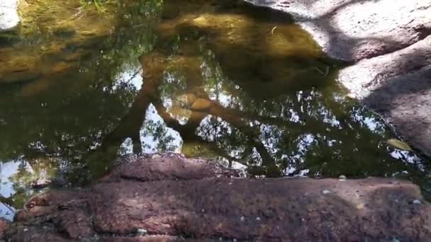 海辺の花崗岩の岩々の風景 — ストック動画