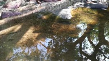 scene of granite boulders by the beach