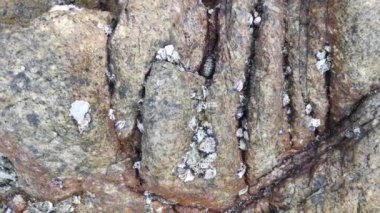 scene of granite boulders by the beach