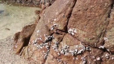 scene of granite boulders by the beach
