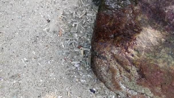 海辺の花崗岩の岩々の風景 — ストック動画