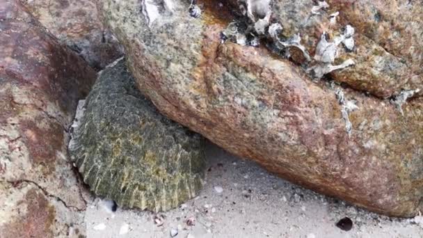 Scene Granite Boulders Beach — Stockvideo