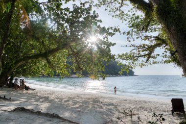 daytime scene at the sandy beach.