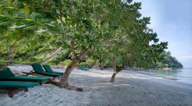 daytime scene at the sandy beach.