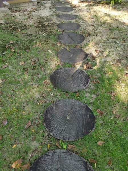 Panneau Bois Rond Découpé Indiqué Chemin Marche — Photo