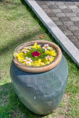 Çiçekli yaprak düzenleme ve vintage kil vazonun yüzeyinde yapraklar