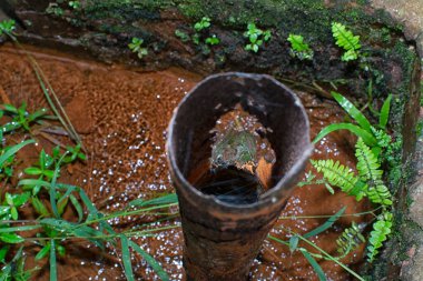 Aşınmış su borusu yere akıyor.