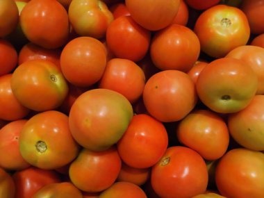 Solanum Lycopersicum yığını satılık.