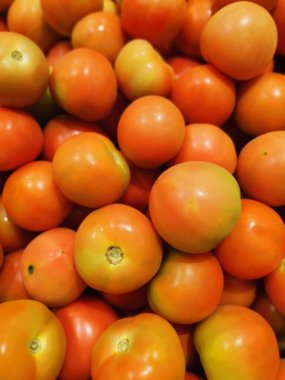 Solanum Lycopersicum yığını satılık.