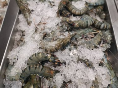 Buz üstünde tatlı su kaplanı karidesi yığını