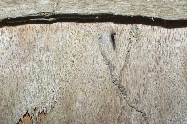 Verwitterte Und Verfallene Holzdielen — Stockfoto