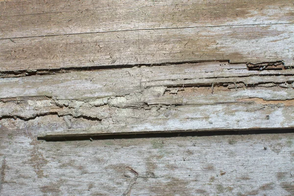 Weathered Decayed Wall Plank Wood Texture — Stock Photo, Image