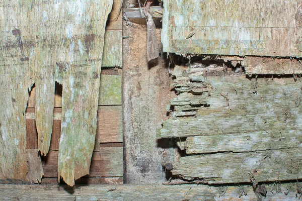 Ošlehaná Zchátralá Dřevěná Textura Stěn — Stock fotografie