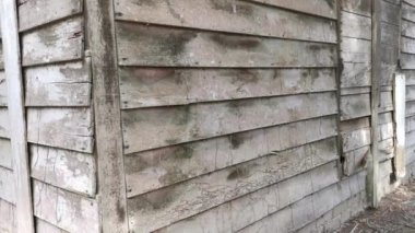 Yıpranmış ve çürümüş duvar tahtası.