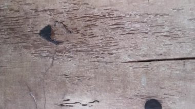 Yıpranmış ve çürümüş duvar tahtası.