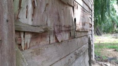 Yıpranmış ve çürümüş duvar tahtası.