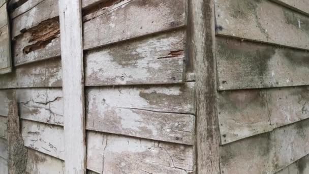 风化和腐烂的墙板木 — 图库视频影像