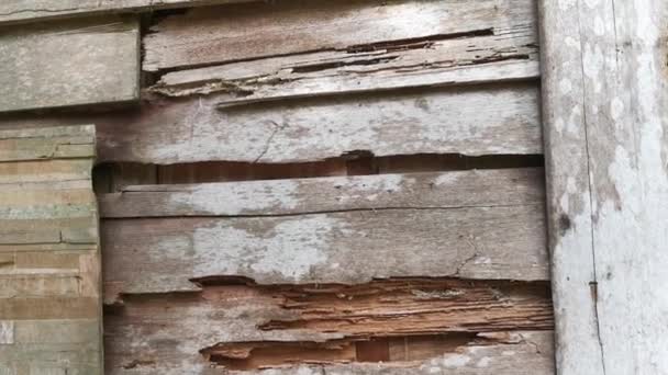 Verweerd Vervallen Wandplankenhout — Stockvideo