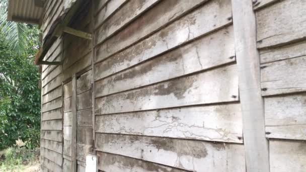 Weathered Decayed Wall Plank Wood — Stock Video