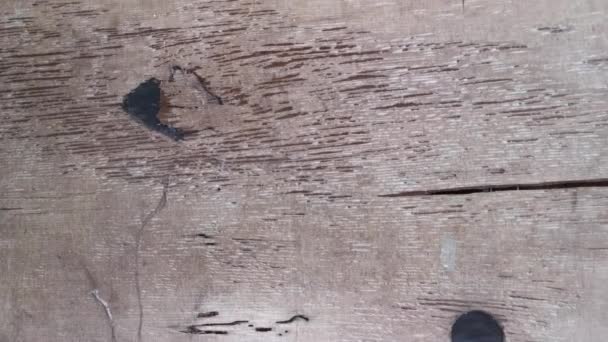 Verwittertes Und Morsches Wanddielen Holz — Stockvideo