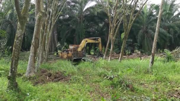 Perak Malesia Febbraio 2022 Macchina Idraulica Escavatori Afferratori Che Rimuove — Video Stock