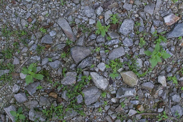 Blick Auf Den Felsigen Boden — Stockfoto