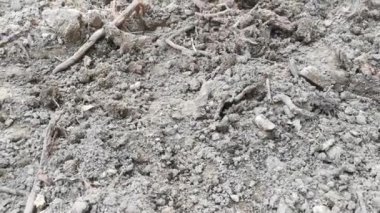 Lastik malikanesinde kütük sahnesi.