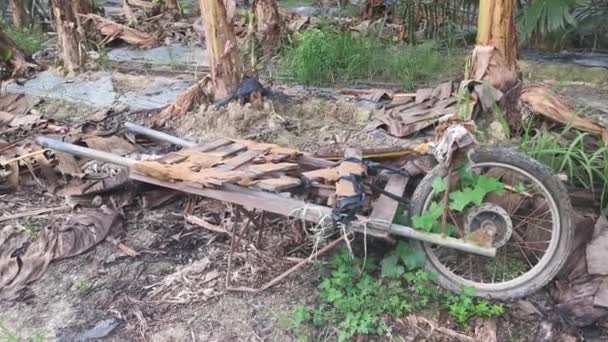 Carro Modificado Con Rueda Para Uso Agrícola — Vídeos de Stock