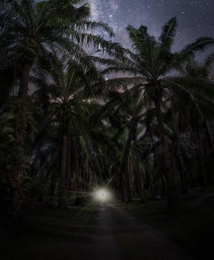 Gece uzaktan parlayan ışık.