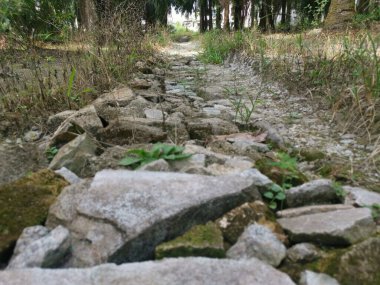 Kırsal bölgeye giden yolu tıkıyor.