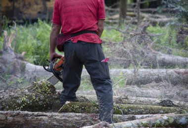 Bilinmeyen bir oduncunun yakın çekimi hareket halindeki ağaç gövdesini kesiyor ve talaş uçuyor. 