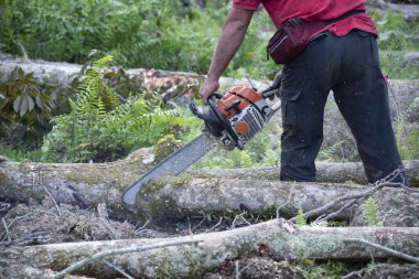 Bilinmeyen bir oduncunun yakın çekimi hareket halindeki ağaç gövdesini kesiyor ve talaş uçuyor. 