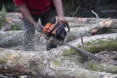 Bilinmeyen bir oduncunun yakın çekimi hareket halindeki ağaç gövdesini kesiyor ve talaş uçuyor. 
