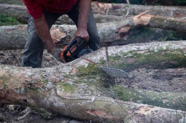 Bilinmeyen bir oduncunun yakın çekimi hareket halindeki ağaç gövdesini kesiyor ve talaş uçuyor. 