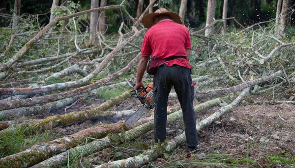 Perak Malásia Fevereiro 2022 Homem Não Reconhecido Usando Serra Elétrica — Fotografia de Stock