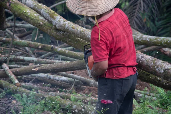 Perak Malásia Fevereiro 2022 Homem Não Reconhecido Usando Serra Elétrica — Fotografia de Stock