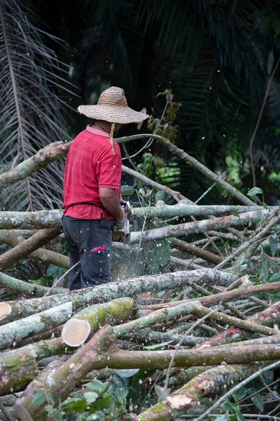 Perak Malásia Fevereiro 2022 Homem Não Reconhecido Usando Serra Elétrica — Fotografia de Stock