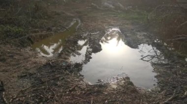 Kurumuş topraklardaki köklerinden sökülmüş ağaçların oluşturduğu su birikintisi..