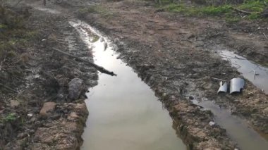 Kurumuş topraklardaki köklerinden sökülmüş ağaçların oluşturduğu su birikintisi..
