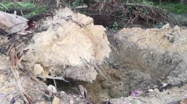 Kurumuş topraklardaki köklerinden sökülmüş ağaçların oluşturduğu su birikintisi..