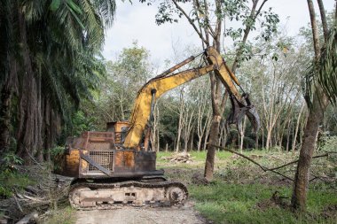 Yakalayıcı kazıcı hidrolik makinesi toprağı yeni ekinlere hazırlamak için para kauçuk ağaçlarını kaldırıyor ya da aşağı itiyor