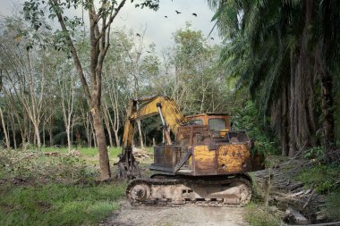 Yakalayıcı kazıcı hidrolik makinesi toprağı yeni ekinlere hazırlamak için para kauçuk ağaçlarını kaldırıyor ya da aşağı itiyor