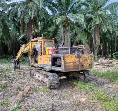 Yakalayıcı kazıcı hidrolik makinesi toprağı yeni ekinlere hazırlamak için para kauçuk ağaçlarını kaldırıyor ya da aşağı itiyor