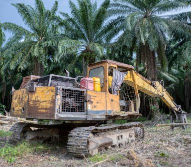 Yakalayıcı kazıcı hidrolik makinesi toprağı yeni ekinlere hazırlamak için para kauçuk ağaçlarını kaldırıyor ya da aşağı itiyor