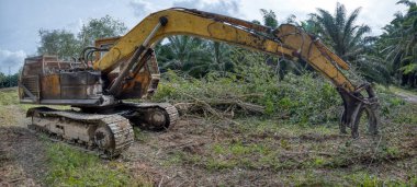Yakalayıcı kazıcı hidrolik makinesi toprağı yeni ekinlere hazırlamak için para kauçuk ağaçlarını kaldırıyor ya da aşağı itiyor