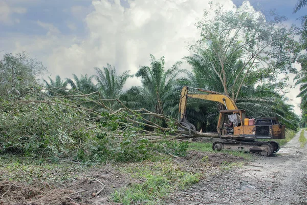 Agarrador Excavadora Máquina Hidráulica Quitar Empujar Hacia Abajo Para Árboles —  Fotos de Stock