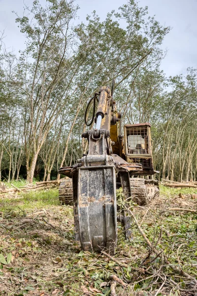 Grabber Máquina Hidráulica Escavadeira Remoção Empurrar Para Baixo Para Árvores — Fotografia de Stock