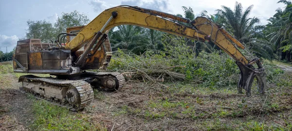 Grabber Máquina Hidráulica Escavadeira Remoção Empurrar Para Baixo Para Árvores — Fotografia de Stock