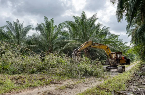 Perak Malásia Fevereiro 2022 Grabber Máquina Hidráulica Escavadeira Remoção Empurrar — Fotografia de Stock