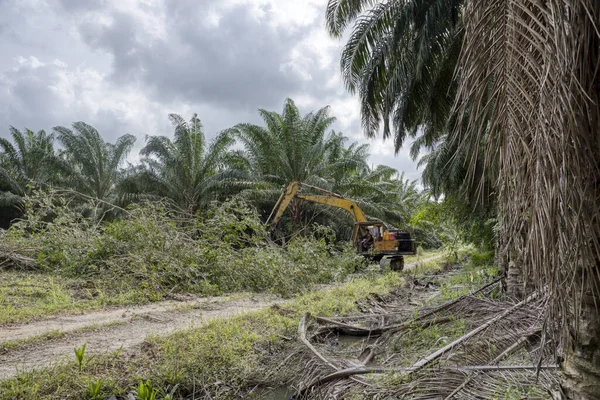 Perak Malasia Febrero 2022 Agarrador Excavadora Máquina Hidráulica Quitar Empujar — Foto de Stock